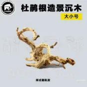 新品免運✨爬箱造景杜鵑根龜缸魚缸沉木寄居蟹睫角守宮蜥蜴攀爬樹根天然造景