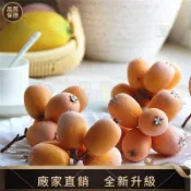【品質仿真館】新款仿真水果多頭枇杷果模型假水果蔬攝影造景道具水果店櫥窗擺設 仿真食品 仿真果蔬圖中食物都是仿真商品！！！