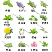 現貨【十六款驅蚊草種子】（100粒）四季強效驅蚊蟑螂 驅蚊薄荷 萬壽菊 驅蚊草 驅蚊草種子 蓄意草種子 迷迭香種子薰衣草