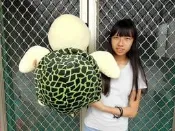 烏龜娃娃~綠蠵龜玩偶抱枕~超大海龜娃娃 12吋 20吋~海龜 烏龜 ~生日/情人禮物~全省配送