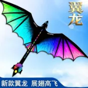 【桃園出貨🔥】新款彩色翼龍風箏高檔大型成人小朋友戶外新手好飛飛龍風箏