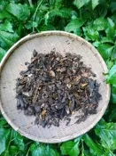 黃梔子(可做為天然植物染料)