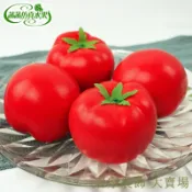 滿299出貨 假水果模型 假水果 仿真水果 假蔬果 假蔬菜 高仿真西紅柿假西紅柿假蔬菜模型假番茄畫室模型道具早教展示道具
