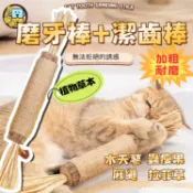 🔥台灣現貨 木天蓼 貓咪玩具 巨無霸木天蓼磨牙棒 貓咪口腔清潔 貓薄荷 貓零食 蟲癭果 拉菲草 天然貓草