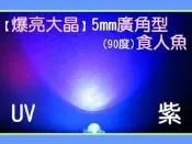 中億☆5mm【高品質】超爆亮UV紫光食人魚LED燈~驗鈔燈/驗鈔筆/驗鈔機/電路板曝光/魚缸顯色/替代黑光燈管/汽機車尾燈/底盤燈