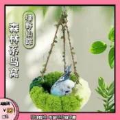 🐾台灣有貨24H🐾鸚鵡玩具 鳥籠配件 鸚鵡鳥叢林風吊床秋千玄鳳虎皮牡丹專用休息玩耍鳥窩金屬玩具用品 小鳥益智玩具 鳥