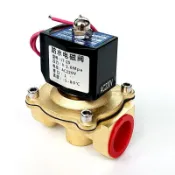 【台灣五金】戶外常閉電磁閥，防雨銅線圈4/2吋，AC220V/DC24V，水閥和空氣閥9-5