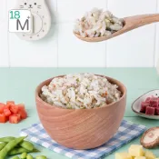 【傑西寶寶】大寶拌飯-日式牛肉拌飯｜冷凍副食品｜寶寶牛肉蔬菜飯｜18-02