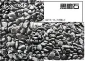 【唐先生拍賣網】黑膽石＊另有:麥飯石 雨花石貝殼沙珊瑚沙多肉培泥炭土赤玉土田土花土煉石花盆空心磚泡腳盆洗手盆