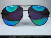 【信義計劃眼鏡】ED Hardy 偏光太陽眼鏡 金屬框 鼻樑雙槓 超越 Paul Smith 