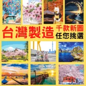 釘好內框🔥Manto【台灣製造】DIY數字油畫｜新淡彩畫布系列(40x50&50x65)大小尺寸#1