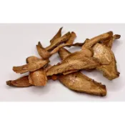 【小神農】 台灣黑牛蒡 牛蒡 1克1塊 正港台灣賣家 黑牛蒡乾 牛蒡根 牛蒡片 牛蒡茶 低溫烘培