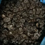 智利梅乾100g 智利西梅乾 西梅 梅肉