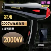和購大賣場 【沙龍大功率】專業吹風機 電吹風 風筒 家用 髮廊 2000W負離子 恆溫護髮 速幹不傷發 人傑RCE-822