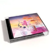 【新韻傳音】普門品 國語教學CD - 日道法師 教念 MSPCD-806