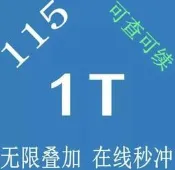 115網盤帳號無限擴容永久雲空間網路硬碟限時優惠