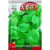 【原裝現貨】 大葉荊芥種子 九層塔香草 羅勒植物 陽台盆栽 新鮮香料 家居園藝 自種食用 容易栽種 療癒植物 可食用葉