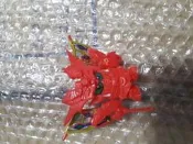 四代目大將軍