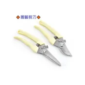 (店+)檳榔剪刀 17公分花剪 樹木剪 果樹剪 檳榔西施 檳榔剪刀 檳榔 剪刀 園藝剪刀