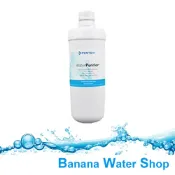 Banana Water Shop 【免運+贈餘氯測試液+3M木漿棉】Norit諾得淨水超微活性碳棒+MF中空絲膜(24.2.201) 濾心WaterFilter
