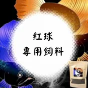 🐟觀魚水族🐟 紅球 小紅豆 飼料魚 專用飼料 （Platy fish)