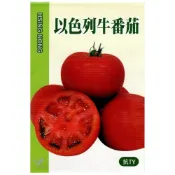 (店+)【天橙種子】以色列牛番茄種子 牛蕃茄 約4粒 耐病、耐熱 日本進口  蔬果種子 瓜果類  興農種苗 彩色原包裝