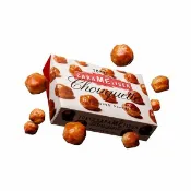 My Oil買好油 日本Tokyo carameliser東京カラメリゼ超美味焦糖脆餅泡芙中秋送禮過年新年禮盒20入現貨
