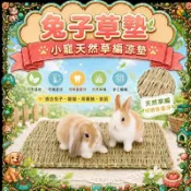 ⚡現貨⚡ 兔子趴墊 小寵草墊 草墊 天然手工編織墊 寵物腳墊 兔子腳墊 稻草墊 豚鼠 龍貓 牧草 編織寵物