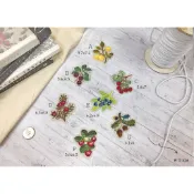 [ PATCH THANK YOU ] 🍒冬日野果🍒藍莓/蔓越莓/小紅莓/李子/萊姆/柑橘/橡果/西洋梨/梨子