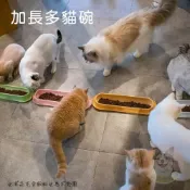(店+)加長多貓碗 防蟻碗 貓碗 貓咪碗 寵物碗 長條碗 飼料碗 寵物用品 寵物食器
