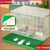 【白鐵防鏽】鳥籠 白鐵鳥籠 鸚鵡籠 鸚鵡鳥籠 鸚鵡白鐵籠 鸚鵡籠子 柯爾鴨籠 養雞籠 寵物籠 鴿子籠 鵪鶉籠 蜜袋鼯籠子