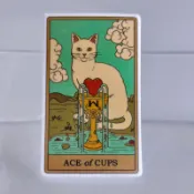ACE of CUPS 聖杯王牌