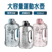 大容量運動水壺 2500ml 運動水壺 吸管水壺 水壺 健身水壺 大容量水壺 運動 健身
