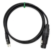 Canare L-2E5 + NEUTRIK鍍金母XLR TO mini XLR母1- 5m聲卡/專業錄影機用麥克風線