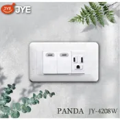 附發票 中一電工 PANDA 熊貓系列 二開關一插座蓋板組 JY-4208W 夜光開關 大面板 15A 二切一插 開關
