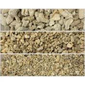 【欣榮園藝490全省免運】珊瑚骨 珊瑚石 珊瑚砂 菲律賓砂 純天然鹼性珊瑚骨 調節穩定PH 魚缸底砂用 過濾用 造景 底