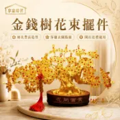 擺件｜搖錢樹發財樹｜花束手工發財樹｜全套｜客廳擺放花金錢樹｜迎客松招財樹