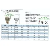 綠色照明 ☆ 亮王 ☆ LED 13W E27 全周光 廣角型 節能 球泡 電子式 省電 燈泡 台灣製造