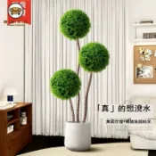 錦盛實木家居 免運 附發票 公司貨 仿真植物 假樹 裝飾綠植 人造樹 尤加利球仿真球型植物大型綠植室內盆栽仿真假花盆景客廳裝飾擺件工廠現貨直銷 店長新品推薦 售後保障 全館折扣 5F1024