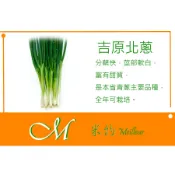 《Meilleur》吉原北蔥種子 2.5g