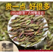 2024雲南野生紫芽孢茶大雪山高山雪芽古樹茶普洱茶生茶紫芽苞500g