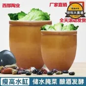 老式大水缸陶瓷家用米桶大號儲水缸庭院造景土陶水缸醃菜缸發酵缸