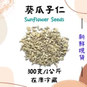 生葵瓜子 300g / 1kg 葵花子仁  sun flower seeds 向日葵子 批發