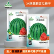 🥦【多品種西瓜種子】盆栽蜂蜜紅瓤小西瓜種子冰糖紅心薄皮小型西瓜子四季春夏甜美都西瓜種子薄皮少籽紅瓤西瓜種子高產