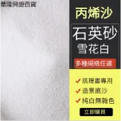 【華隆興盛百貨】石英砂丙烯畫畫沙子專用細沙40-80目質感白沙裝飾肌理油畫diy材料