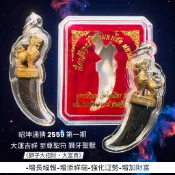 -昭坤通猜 2559 第一期 大運吉祥 至尊聖符 獅牙聖獸【夢幻佛牌】