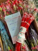 康乃馨 單枝 花束 錐形 透明禮盒 鮮花禮盒 母親節 康乃馨 贈品禮品 婚禮小物 房仲業 二次進場 裸裝單支康乃馨花束