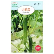 (店+)【天橙種子】小胡瓜種子(小黃瓜) Cucumber  瓜果種子 天星牌 穗耕種苗 彩色原包裝