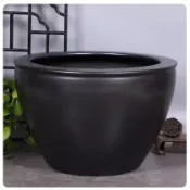 景德鎮陶瓷魚缸特大號客廳養魚盆戶外魚缸睡蓮荷花缸庭院老式水缸2370