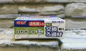 【西高地水族坊】日本五味GEX水中過濾器(水妖精)(MINI)專用替換濾材(含活性碳) 2入
